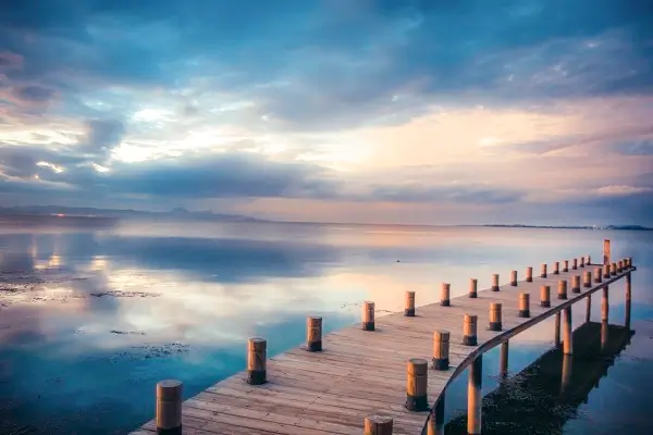 做菜美食教程配方