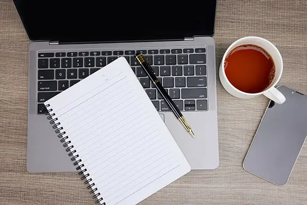 饶平橄榄美食园在哪里